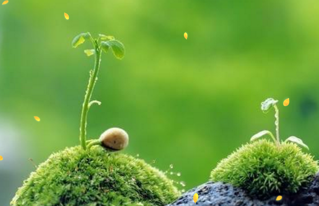 八年级“读书月”亲子朗读活动作品（三）(图2)