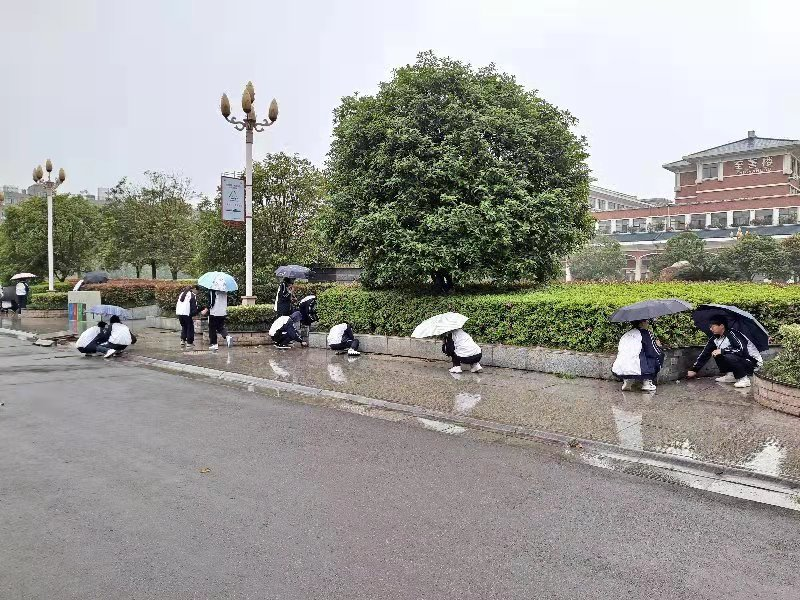 学党史回望初心 担使命立德树人 ——区一中学子践行初心使命(图4)